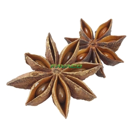 HỒI HƯƠNG