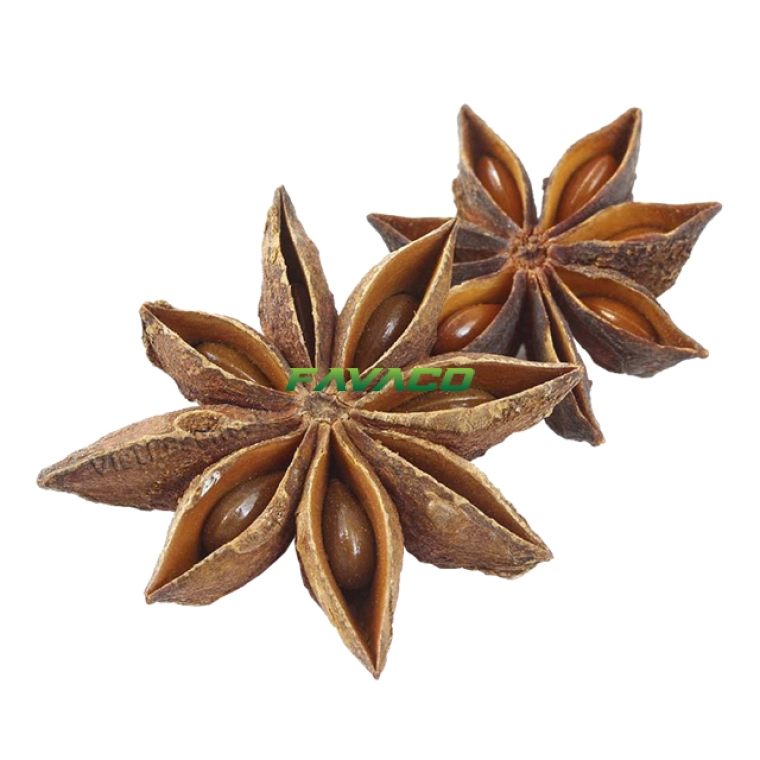 HỒI HƯƠNG
